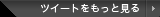 ツイートをもっと見る